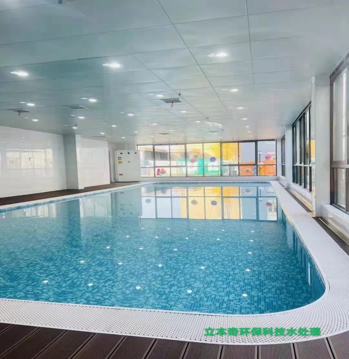 立本奇,标准泳池